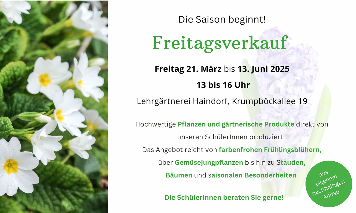 Freitagsverkaufpixele Freitagsverkaufpixele