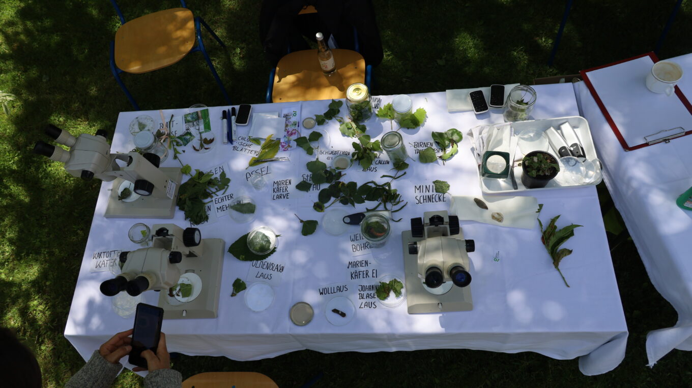 Gartenfest 2025