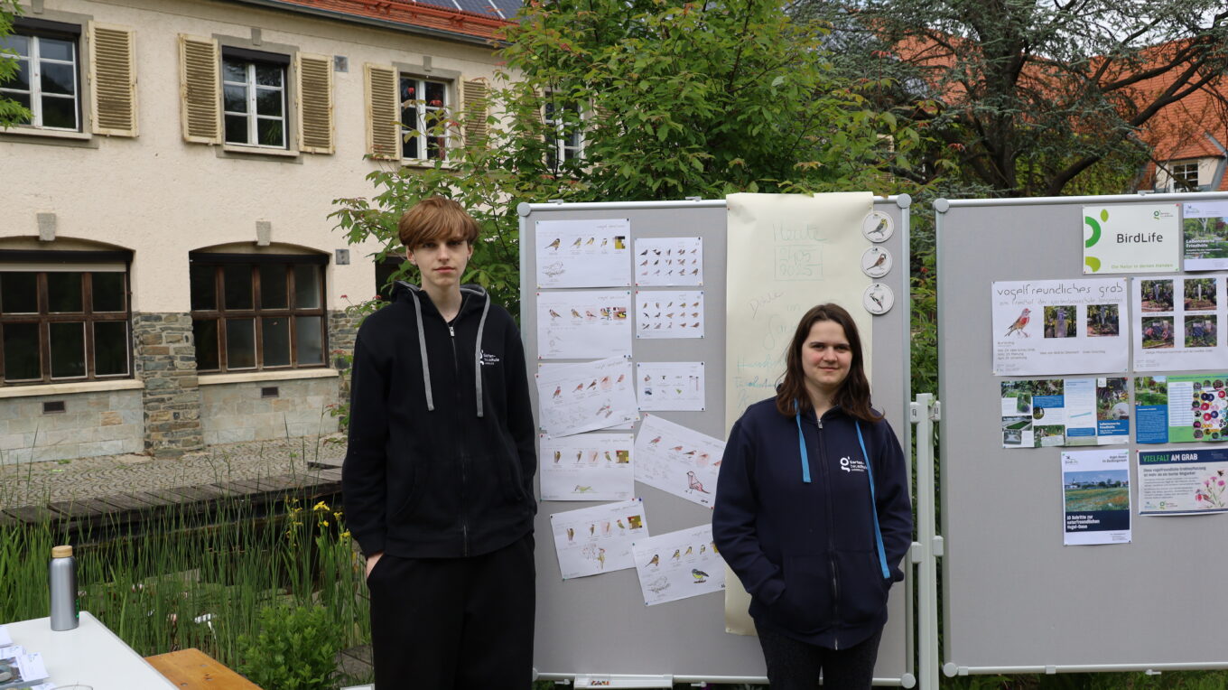 Gartenfest 2025
