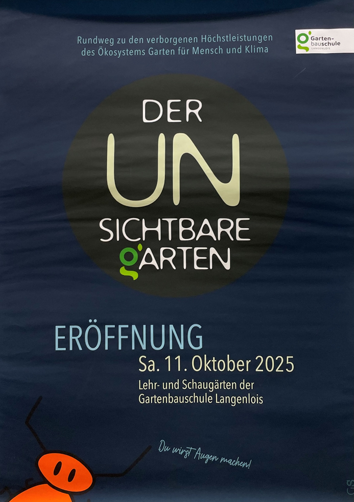 Bild1