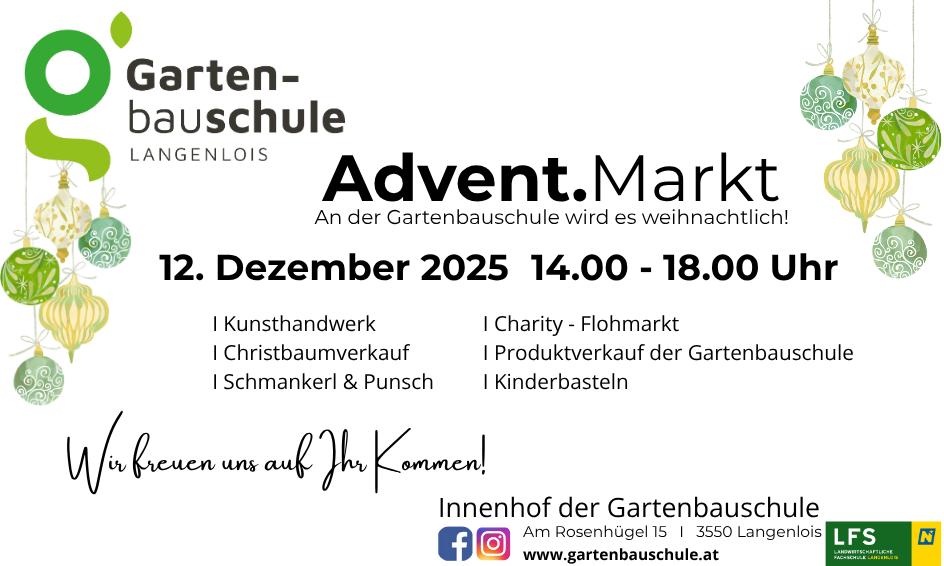 Adventmarkt Homepage