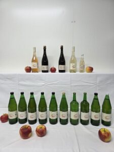 IMG-20260130-WA0006 IMG-20260130-WA0006