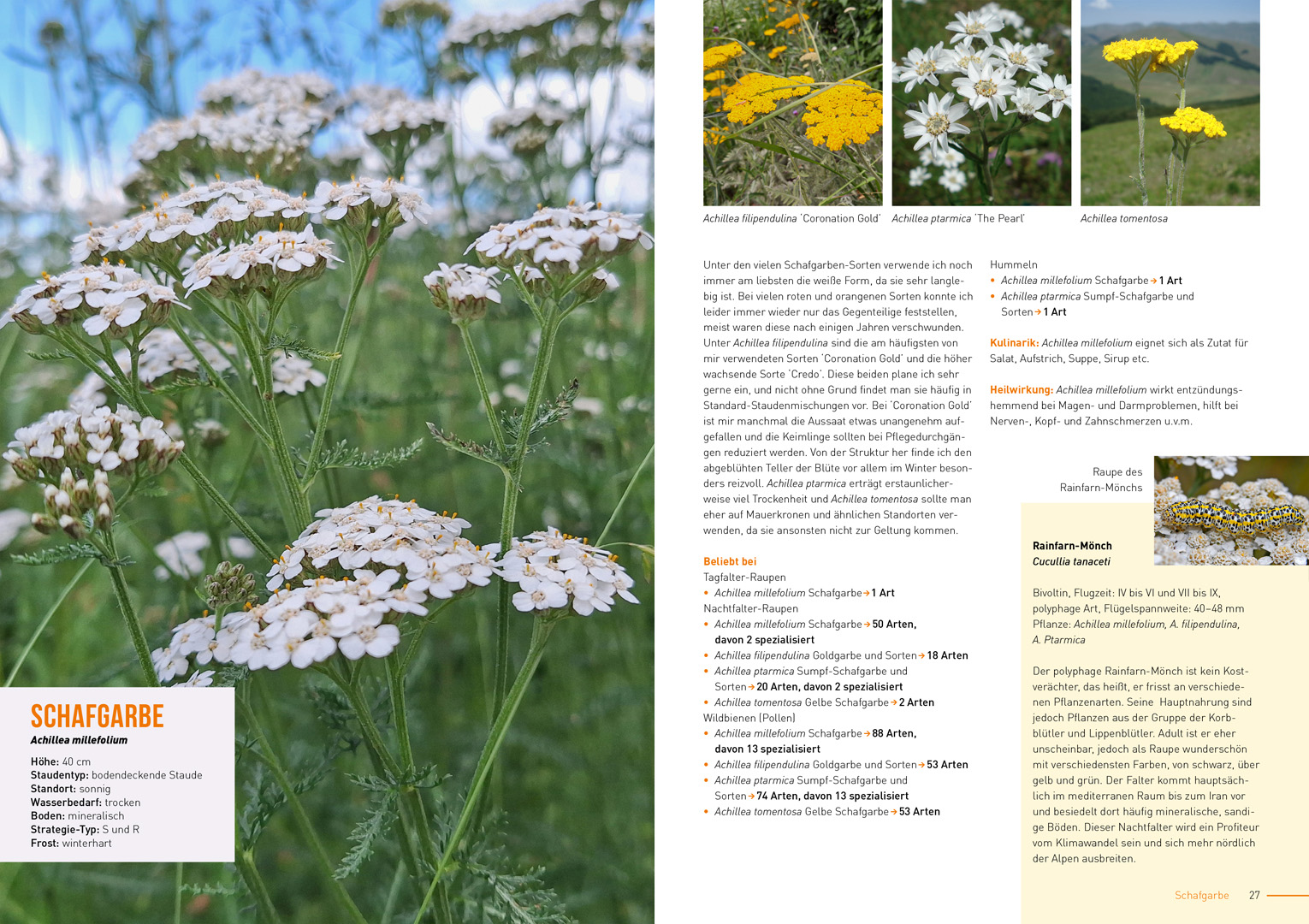 Joachim Kugler_Klimastarke Stauden_Innen 1 Joachim Kugler_Klimastarke Stauden_Innen 1