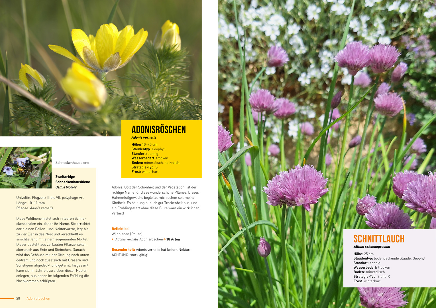 Joachim Kugler_Klimastarke Stauden_Innen 2 Joachim Kugler_Klimastarke Stauden_Innen 2