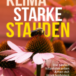 Screenshot 2026-04-10 091606