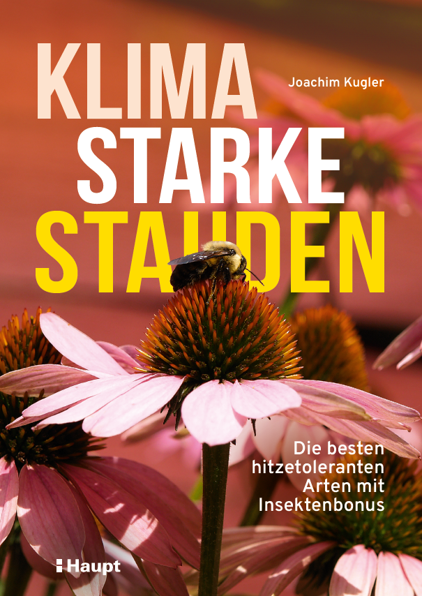 Screenshot 2026-04-10 091606 Screenshot 2026-04-10 091606