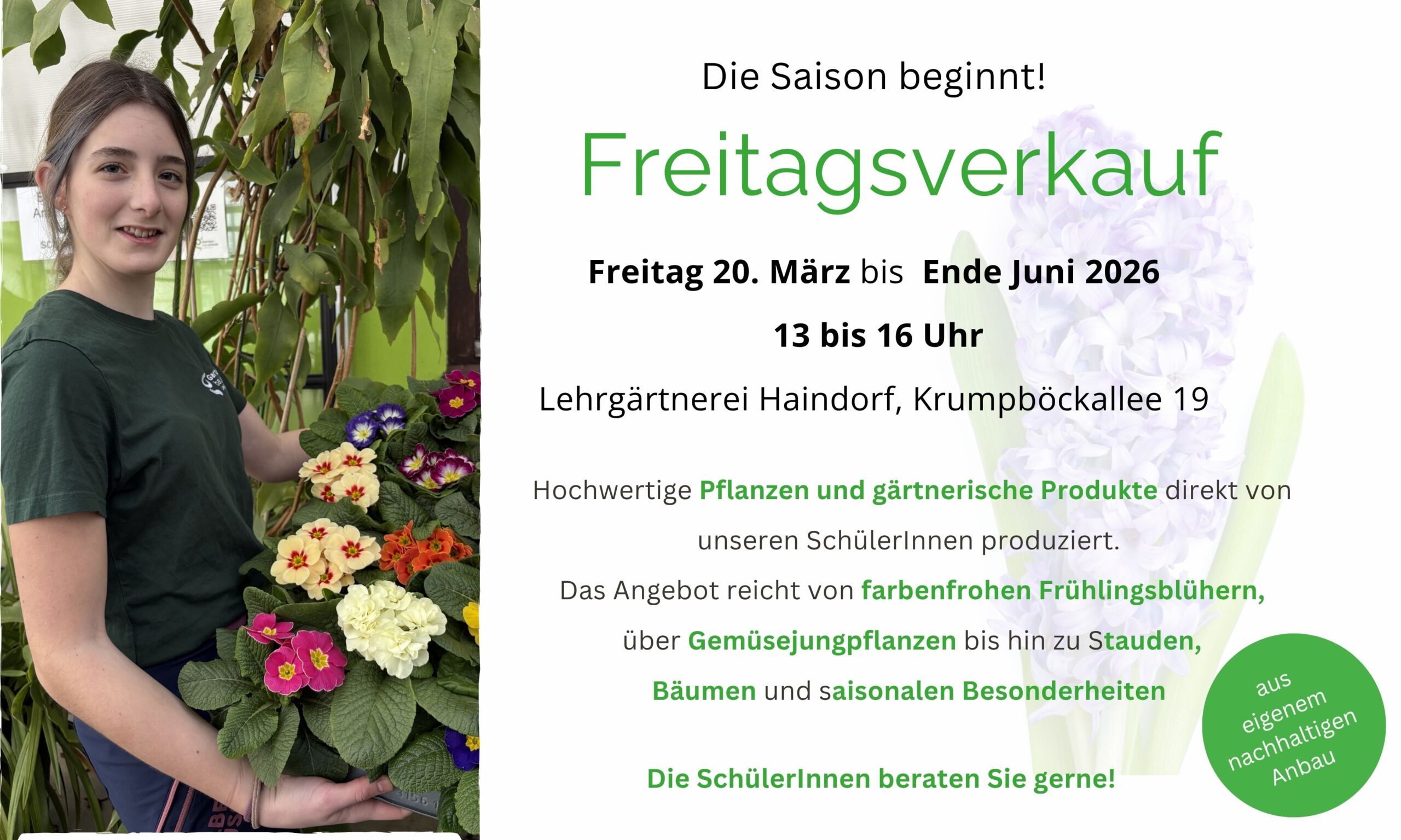 Kopie von Kopie von Freitagsverkauf (944 x 566 mm)